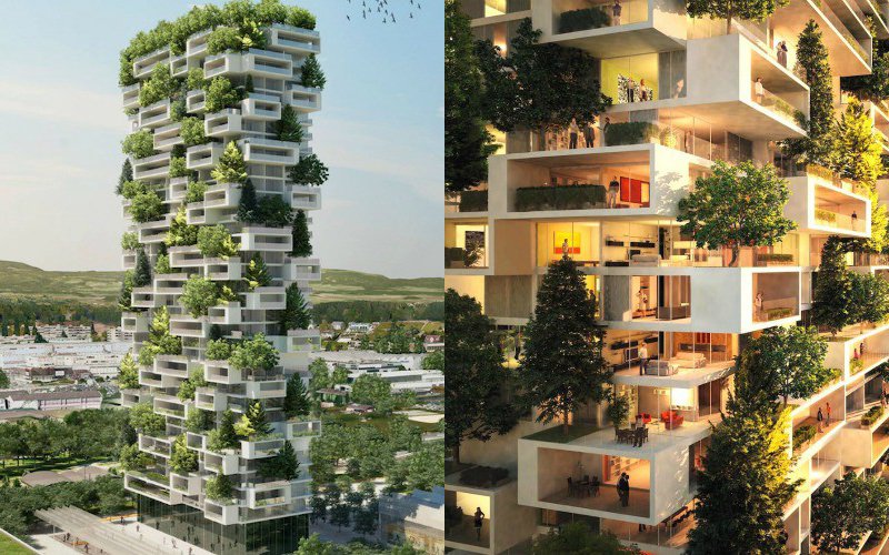 Como conciliar o conforto e a sustentabilidade nas edificações